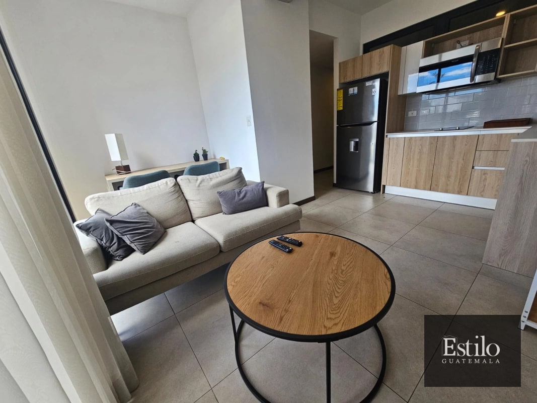 APARTAMENTO AMUEBLADO MIRA Z.10 - 4