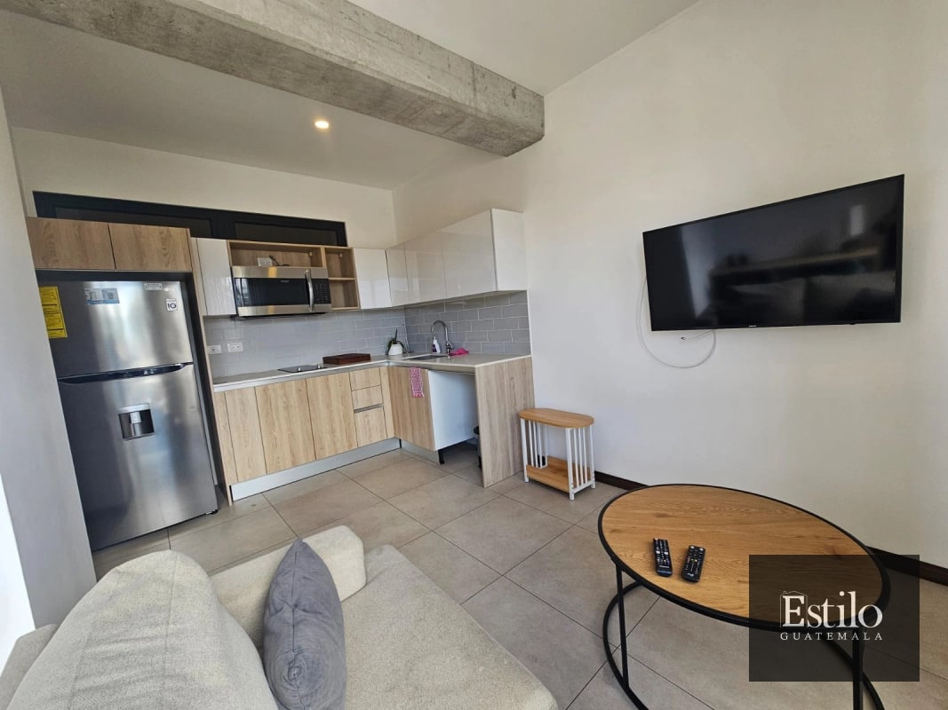 APARTAMENTO AMUEBLADO MIRA Z.10 - 3