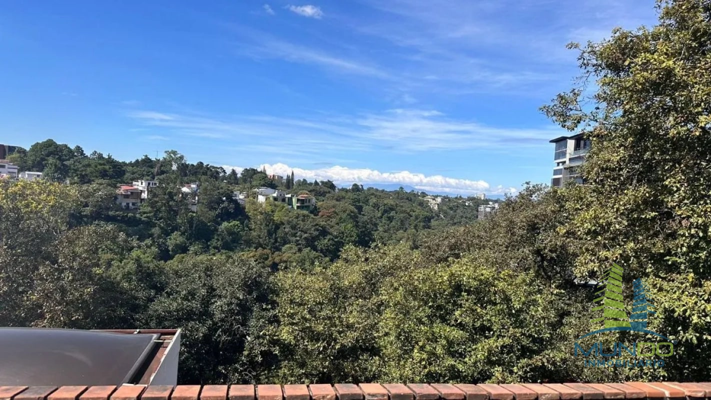 APARTAMENTO TIPO LOFT EN RENTA EN ZONA 15 - 4