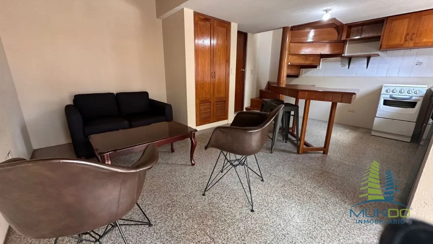 APARTAMENTO TIPO LOFT EN RENTA EN ZONA 15 - 2