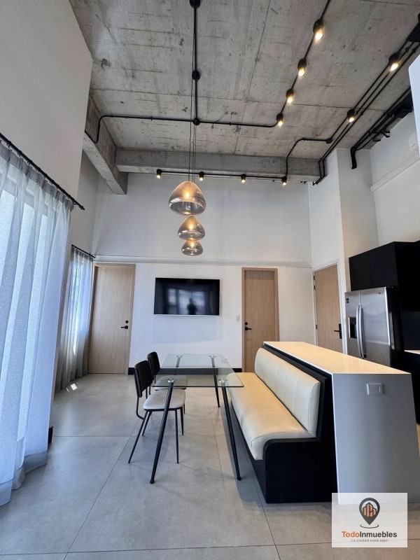 Apartamento Penthouse Loft en Renta en z10 - 4