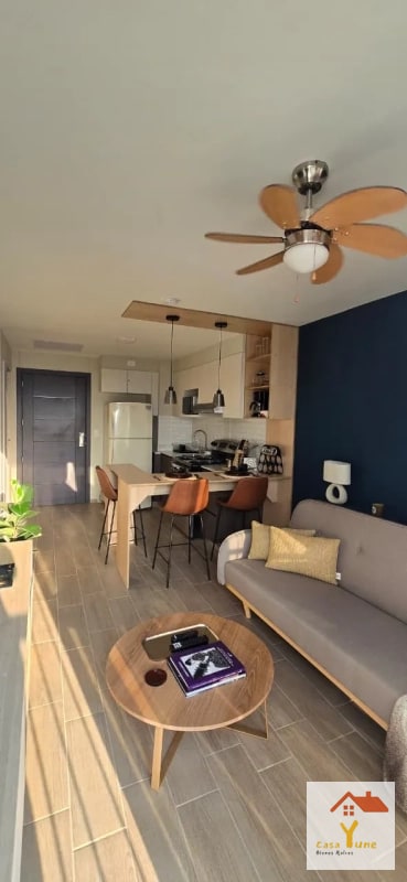 APARTAMENTO EN ALQUILER ZONA 12 AMUEBLADO - 1